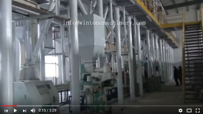 150T/Day Corn Grits, Flour and Germ Processing Line built in Diwang Company, Anhui Province