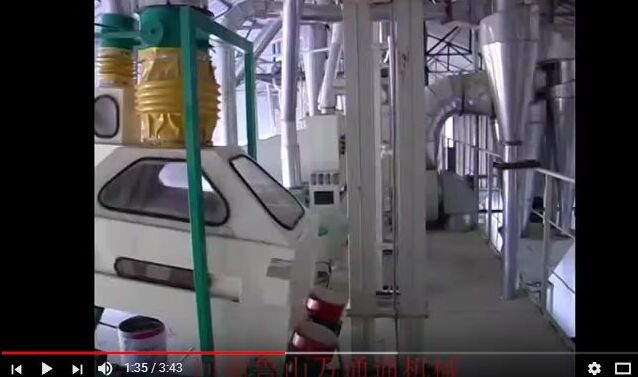 Corn Flour Mill Line Built in Zhangxifeng Liangyou Co., Ltd.